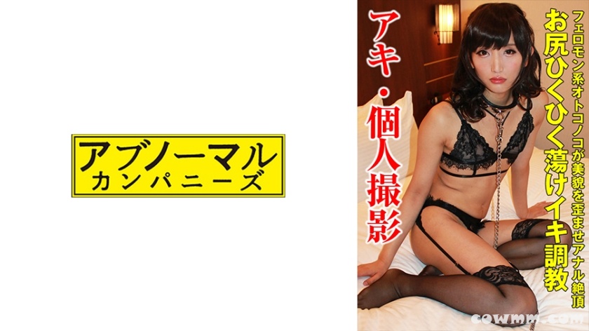 481SACZ-365 アキ 3